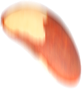 img castanha top 0